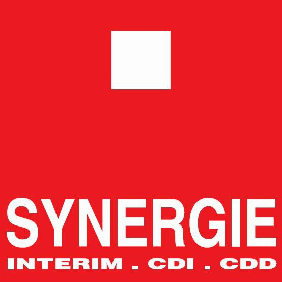 Logo SYNERGIE (SUISSE) SA